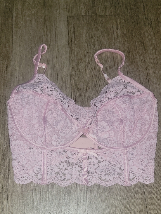 For Love And Lemons Other - For Love And Lemons Pale Pink Lace Longline Bralette